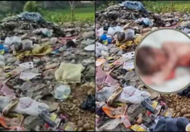 उत्तराखंड: धर्मनगरी में ममता शर्मसार, नवजात को नदी किनारे छोड़ गई मां.. कूड़े में भ्रूण मिलने से सनसनी