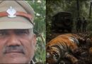 दो बाघों की हत्या मामले में वन विभाग की बड़ी कार्रवाई, श्यामपुर रेंजर विनय कुमार राठी सस्पेंड