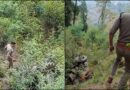 उत्तराखंड: नियंत्रण खोकर गहरी खाई में गिरी ट्रैक्टर ट्रॉली, उड़े परखच्चे.. दो युवकों की दर्दनाक मौत
