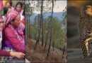 गढ़वाल: पुराने मकान के पास घास लेने गई महिला, लौटकर नहीं आई… गुलदार ने ली जान