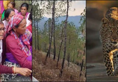 गढ़वाल: पुराने मकान के पास घास लेने गई महिला, लौटकर नहीं आई… गुलदार ने ली जान
