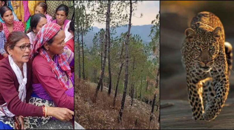 गढ़वाल: पुराने मकान के पास घास लेने गई महिला, लौटकर नहीं आई… गुलदार ने ली जान