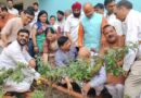 पौधारोपण, फल वितरण, जलाभिषेक व गंगा आरती से की गई प्रदेश अध्यक्ष के दीर्घायु होने की कामना
